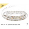 Taśma Led 2835 | 9,6W | 12V | Ip65 | 600Led | 5M | Neutralna | 4000K | Prof+