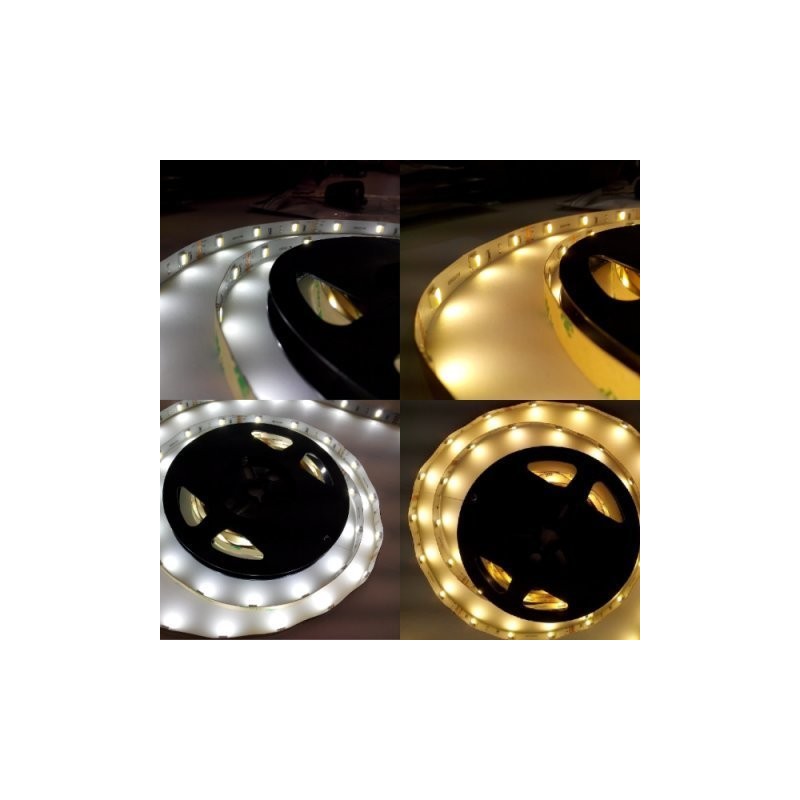 Taśma LED Professional 300XSMD5025 72W - BICOLOR