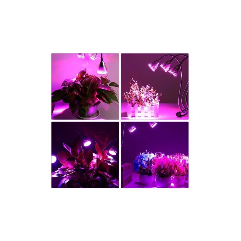 Lampa LED do roślin OVERBOX 10W - Czerwona/niebieska