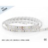 Taśma Led 2835 | 4,8W | 12V | Ip65 | 300Led | 5M | Zimna | 6200K | Prof+