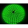 Taśma LED line 300 SMD 3528 zielona 5m