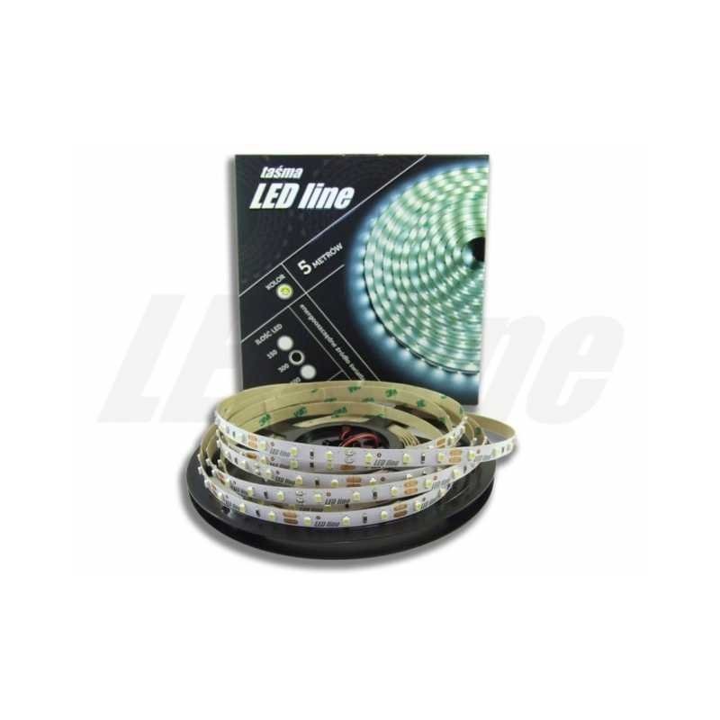 Taśma LED PREMIUM LedLine 300xSMD3528 EPISTAR IP20 - biała neutralna - 5m