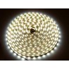 Taśma LED PREMIUM LedLine 300xSMD3528 EPISTAR IP20 - biała dzienna- 5m