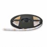 Taśma LED TRAMO 300 diod 3528 IP65 barwa RGB 5m