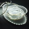 Taśma LED Professional 300XSMD2835 5mm 24W - BIAŁY ZIMNY