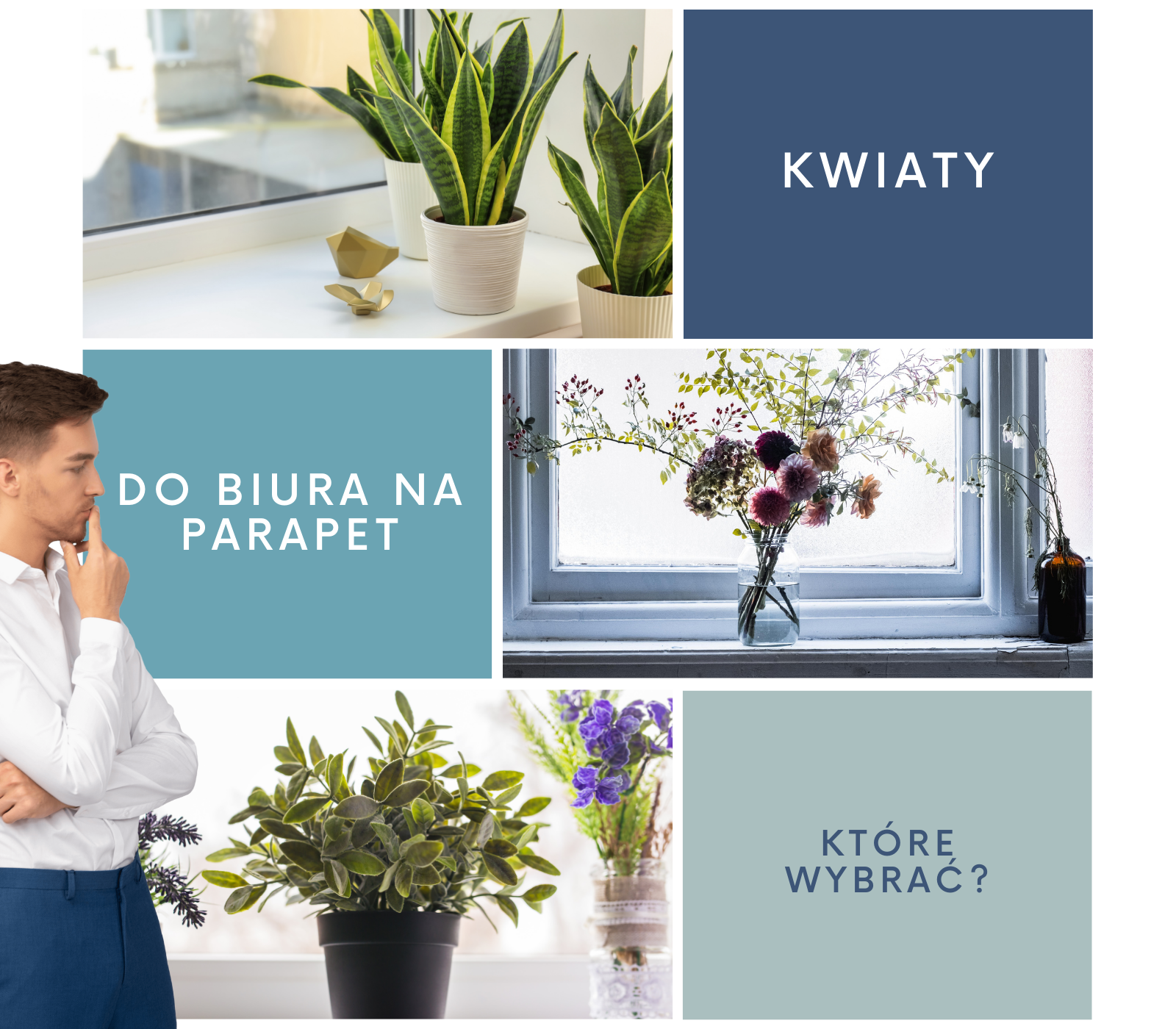 Kwiaty do biura na parapet_ które wybrać