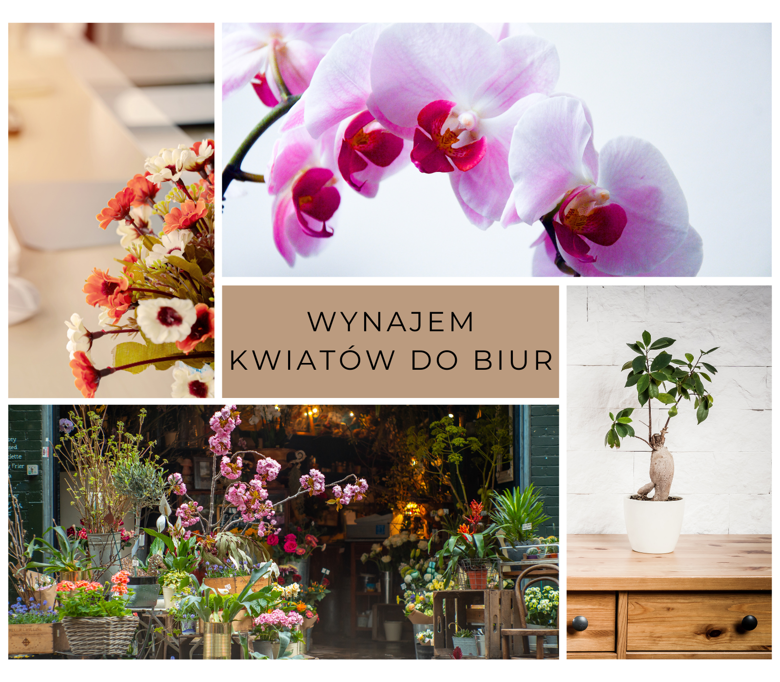Wynajem kwiatów do biura