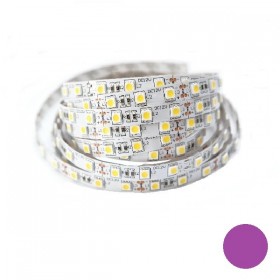 Taśma LED 5050 fioletowa