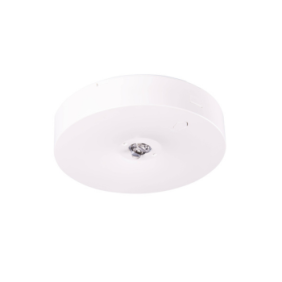 Starlet Round