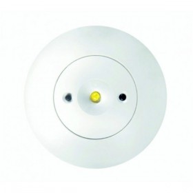 Starlet White
