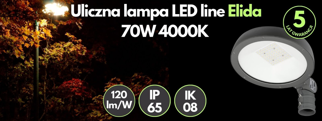 Uliczna lampa 478498 LED line Elida 70W 4000K 120lm/W 100-277V AC