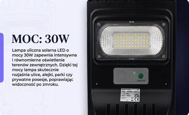 Panel LED lampy ulicznej solarnej 30W Eco Light EC20095, zbliżenie na strukturę LED, zdjęcie produktowe