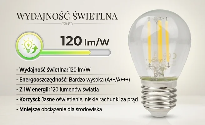 Żarówka LED kulista ECO LIGHT EC61250, wydajność świetlna 120 lm/W, zdjęcie produktowe na jasnym tle