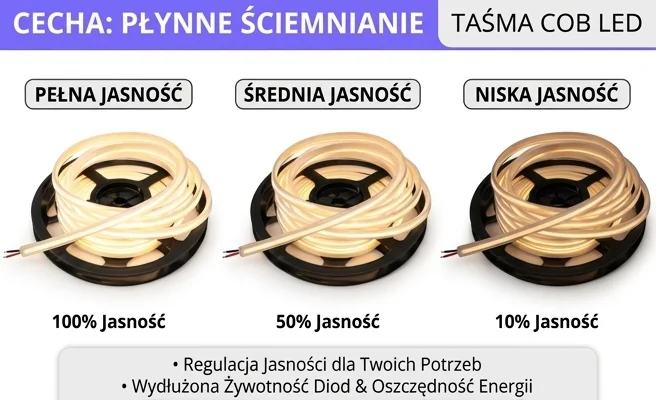 Taśma LED SMD_LED 84999 z możliwością ściemniania, trzy poziomy jasności, zdjęcie produktowe