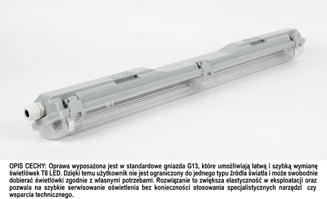 Oprawa LED VANTA 1xT8 60cm szara ABS/PS LITE 203860-II - zdjęcie cechy standardowych gniazd G13