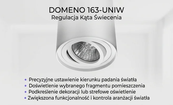 Oprawa sufitowa Domeno 163-uniw z regulacją kąta świecenia, biała tuba LED, zdjęcie produktowe