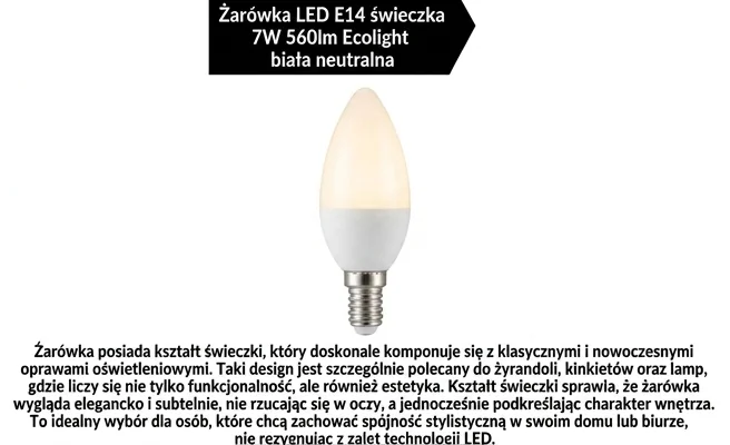 Kształt świeczki żarówki LED Eco Light EC79449, widok frontalny, białe tło