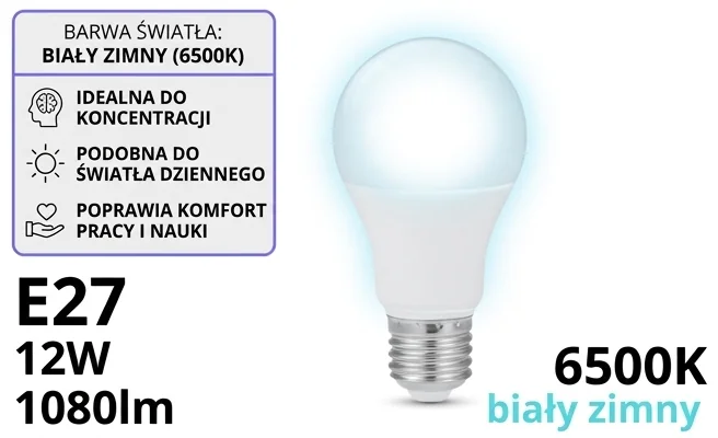 Żarówka LED EC79388 6500K – zdjęcie produktowe z chłodną białą poświatą
