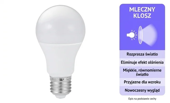 Żarówka LED Eco Light EC79666 mleczny klosz, cecha: matowy klosz, zdjęcie produktowe
