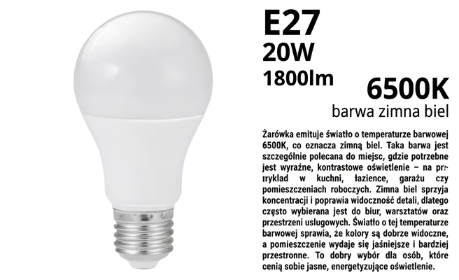 Żarówka LED EC79845 zimna biel 6500K na białym tle